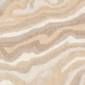 Meet your Posher, Abbey